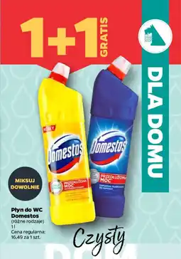 Netto Płyn do WC Domestos oferta