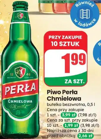 Dino Piwo Perła Chmielowa oferta
