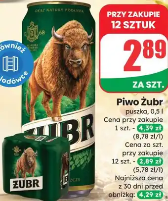 Dino Piwo Żubr oferta