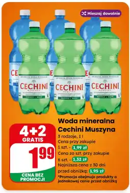 Dino Woda mineralna Cechini Muszyna oferta