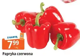 E.Leclerc Papryka czerwona oferta