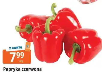 E.Leclerc Papryka czerwona oferta