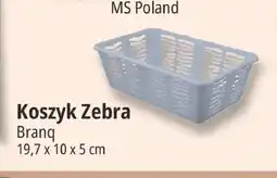 E.Leclerc Koszyk Zebra Branq 19,7x10x5 cm oferta