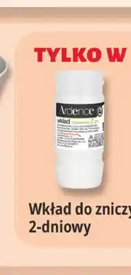 E.Leclerc Wkład do zniczy 2-dniowy Ardence oferta