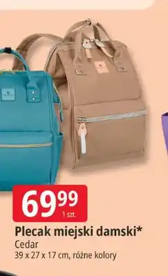 E.Leclerc Plecak miejski damski oferta