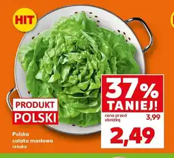 Kaufland Sałata masłowa polska oferta