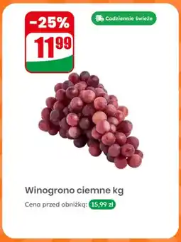 Dino Winogrono ciemne oferta