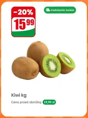 Dino Kiwi oferta