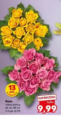 Kaufland Róże oferta