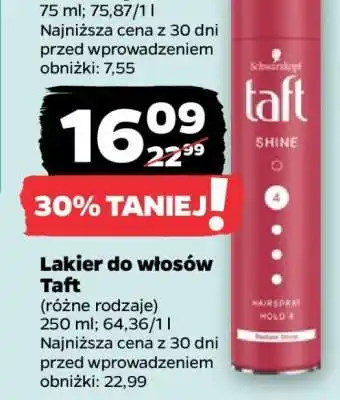 Netto Lakier do włosów TAFT oferta