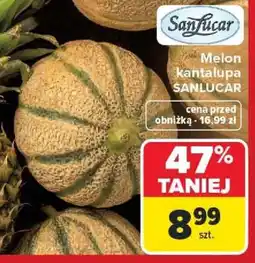 Carrefour Melon kantalupa SANLUCAR oferta