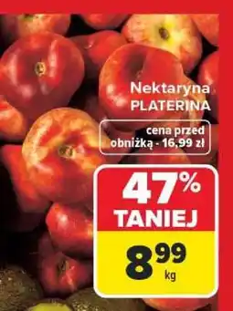 Carrefour Nektaryna PLATERINA oferta