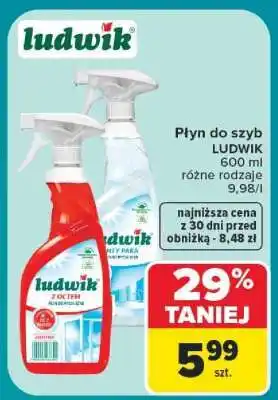 Carrefour Płyn do szyb Ludwik oferta