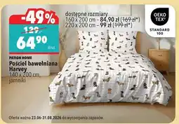 Biedronka Pościel bawełniana Harvey oferta