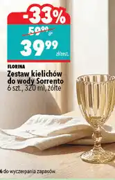 Biedronka FLORINA Zestaw kieliszków do wody Sorrento oferta