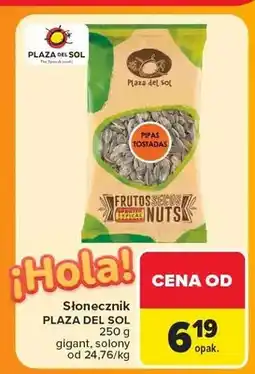 Carrefour Słonecznik Plaza del Sol gigant solony oferta