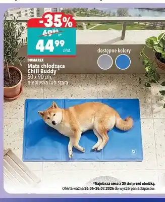 Mata chłodząca Domarex Chill Buddy niebieska