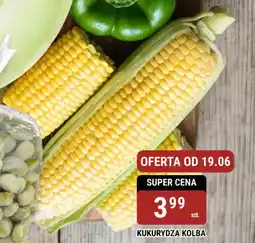 bi1 Kukurydza kolba oferta