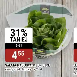 bi1 Sałata masłowa w doniczce oferta