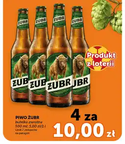 Groszek Piwo żubr oferta
