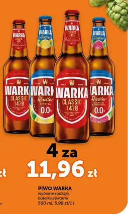 Groszek Piwo warka oferta