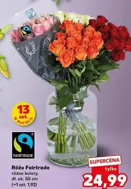 Kaufland Róże Fairtrade, różne kolory, dł. ok. 50 cm oferta