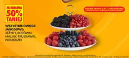 Biedronka Wszystkie owoce jagodowe: jeżyny, borówki, maliny, truskawki, porzeczki oferta