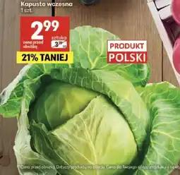 Delikatesy Centrum Kapusta wczesna oferta