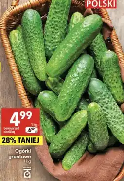 Delikatesy Centrum Ogórki gruntowe oferta
