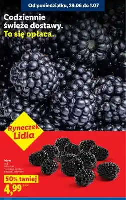 Lidl Jeżyny Ryneczek Lidla oferta
