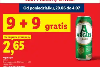 Lidl Piwo Argus Lager oferta