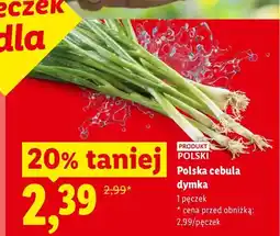 Lidl Cebula dymka polska oferta