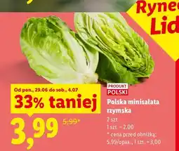 Lidl Minisałata rzymska polska oferta