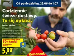 Lidl Pomidory koktajlowe Ryneczek Lidla oferta