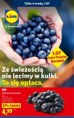 Lidl Polskie borówki amerykańskie oferta