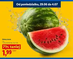 Lidl Arbuz luzem oferta