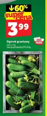 Topaz Ogórek gruntowy oferta
