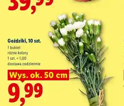 Lidl Goździki bukiet oferta
