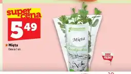 Topaz Mięta oferta