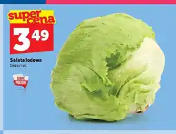Topaz Sałata lodowa oferta