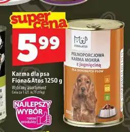 Topaz Karma dla psa Fiona&Atos oferta