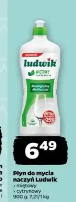 Netto Płyn do mycia naczyń Ludwik miętowy oferta