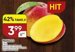 Chata Polska Mango oferta