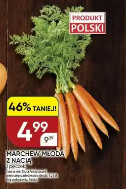 Chata Polska Marchew młoda z nacią oferta