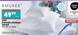 Biedronka Poduszka chłodząca Topcool oferta