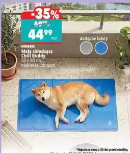 Biedronka Mata chłodząca Chill Buddy oferta
