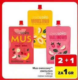 Carrefour Market Mus owocowy OWOLOVO oferta