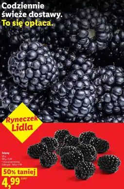Lidl Ryneczek Lidla Jeżyny oferta