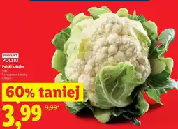 Lidl Polski kalafior oferta