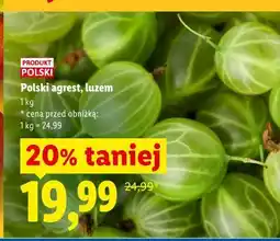 Lidl Polski agrest, luzem oferta